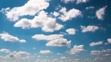 Tüylü Beyaz Fluffy Olakas Güneşli bir günde Mavi Gökyüzünde süzülüyor