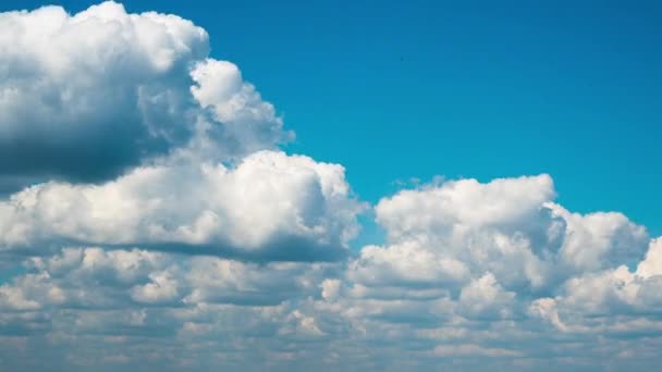 Weiße, flauschige Wolken schweben langsam durch den blauen Tageshimmel — Stockvideo