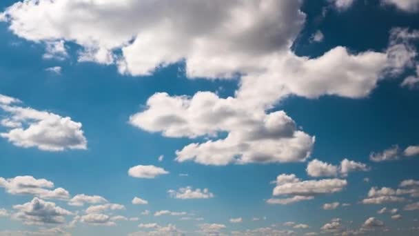 Timelapse White Fluffy Olakas Float Through the Blue Sky on a Sunny Day — Stock video