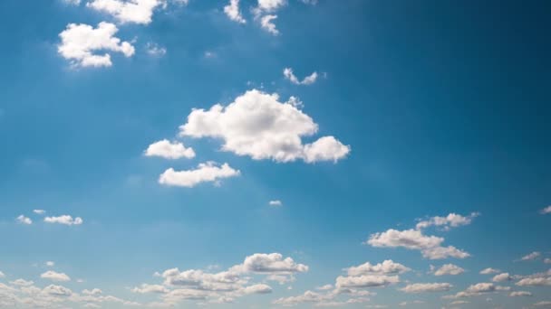 在阳光灿烂的日子里 白色蓬松的橡胶树飘过蓝天 阳光透过美丽的云彩照耀着 晴空万里的神奇天空 — 图库视频影像