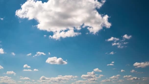 Timelapse Witte Pluizige Olaka Zweven Een Zonnige Dag Door Blauwe — Stockvideo