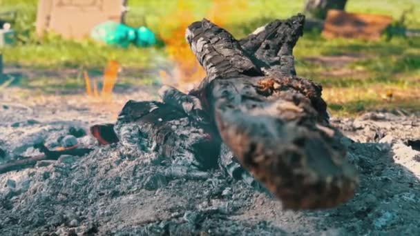 Der Natur Brennt Glühende Holzkohle Graue Asche Schwelte Mit Wenig — Stockvideo