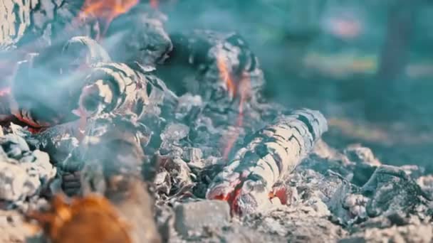 Forró Szén Kiég Tűzben Természetben Szürke Hamu Parázslik Kis Tűzzel — Stock videók