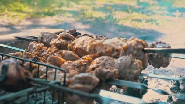 Şişe Üzerindeki Şiş Kebap Ateşte Kızarır Bir Adam Onu Çevirir — Stok video