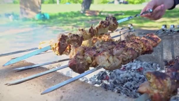 Szaftos Kebab Nyárson Megsül Tűz Felett Egy Férfi Megfordítja Grillezett — Stock videók