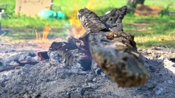 Червоне Вугілля Згорить Вогні Природі Сірі Попільнички Невеликим Вогнем Затишний — стокове відео