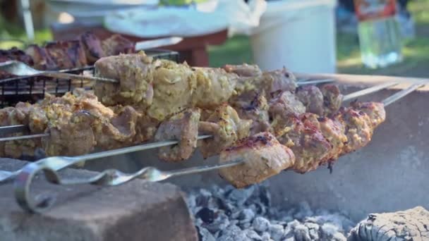 Szaftos Kebab Nyárson Megsül Tűz Felett Egy Férfi Megfordítja Grillezett — Stock videók
