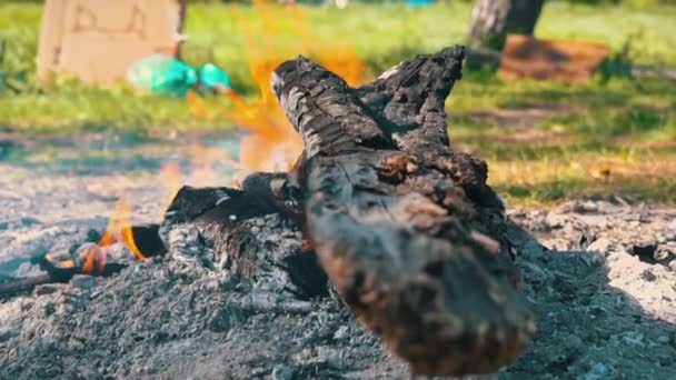 Горячий Уголь Сгорает Пожаре Природе Серый Пепел Тлеет Небольшим Огнем — стоковое видео