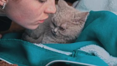 Kız, yatağın üzerinde yatan gri safkan bir kedi yavrusunu öpüyor. Yaramaz ve neşeli küçük bir kedi bir battaniyenin üzerinde uyur. Uyuyan hayvanlar.