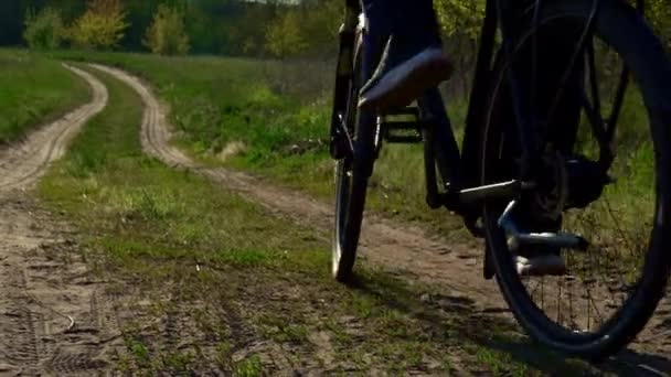 Joven Monta Bicicleta Por Sendero Polvoriento Bosque Atardecer Hombre Monta — Vídeo de stock