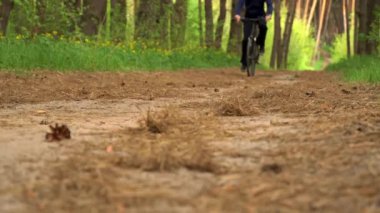 Genç adam gün batımında ormanda tozlu bir patika boyunca bisiklet sürüyor. Ormanda bisiklete binen bir adam sağlıklı bir hayat sürüyor. Spor, eğlence ve hobi, sağlık sigortası, fitness. Seyahat.
