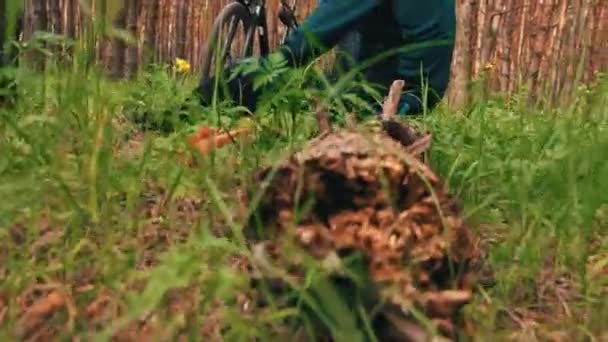 Ciclista Masculino Sienta Tronco Bosque Disfruta Naturaleza Recorriendo Bicicleta Bosque — Vídeo de stock