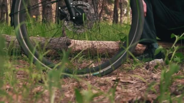 Мужчина Велосипедист Сидит Бревне Лесу Наслаждается Природой Велоспорт Через Сосновый — стоковое видео