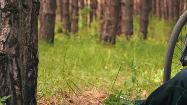 Férfi Kerékpáros Egy Fatörzsön Erdőben Élvezi Természetet Kerékpározás Fenyőerdőben Fák — Stock videók