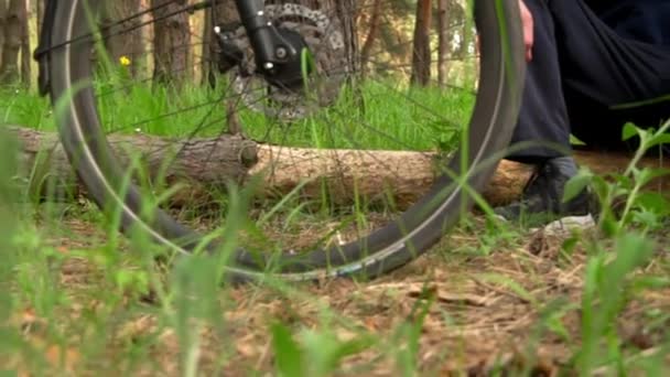 Man Fietser Zit Een Stam Het Bos Geniet Van Natuur — Stockvideo