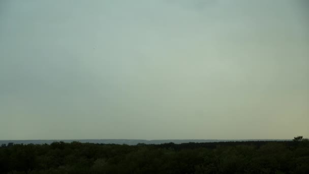 Rayos Truenos Sobre Ciudad Por Noche Rayos Brillantes Espectaculares Tormentas — Vídeos de Stock