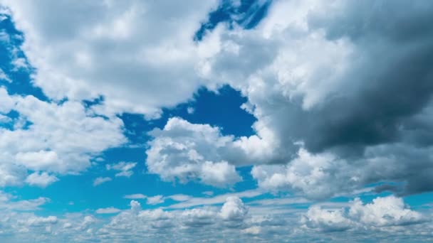 White Fluffy Clouds Slowly Float Blue Daytime Sky Timelapse Beautiful — Stock video