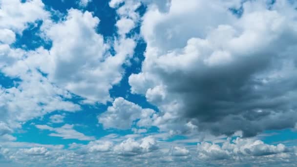 White Fluffy Clouds Slowly Float Blue Daytime Sky Timelapse Beautiful — Vídeos de Stock