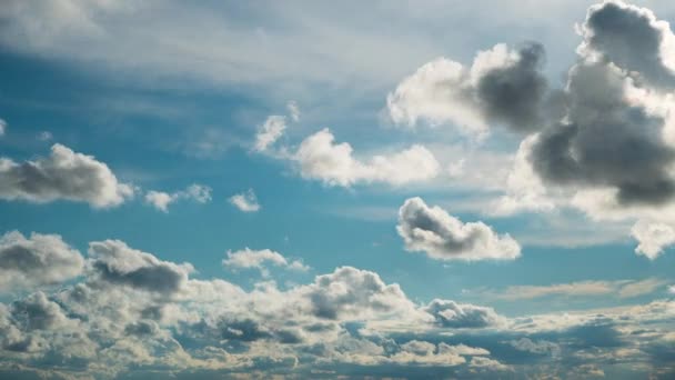 White Fluffy Clouds Slowly Float Blue Daytime Sky Timelapse Beautiful — Vídeo de Stock
