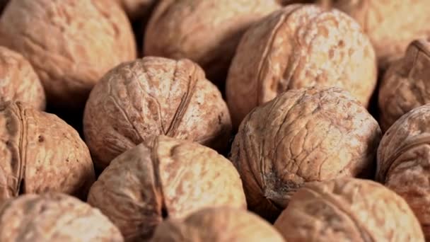 Lot Walnuts Shell Spinning Black Background Nuts Good Brain Heap — Video