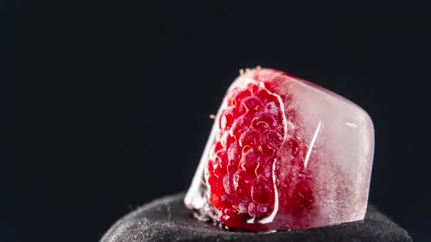 Timelapse Raspberry Melts Freezes Piece Ice Loop Fruits Melt Warm — ストック動画