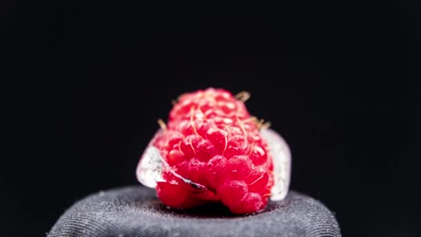Timelapse Raspberry Freezes Piece Ice Fruits Freeze Cold Temperature Frost — 비디오