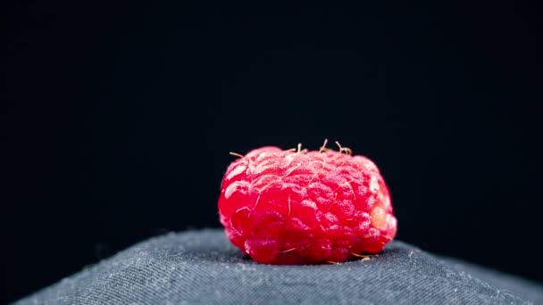 Timelapse Raspberry Freezes Piece Ice Fruits Freeze Cold Temperature Frost — Vídeos de Stock