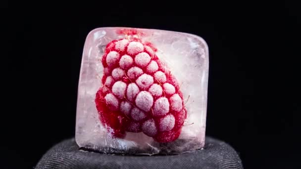 Timelapse Raspberry Melts Piece Ice Frozen Fruits Melt Air Temperature — Video
