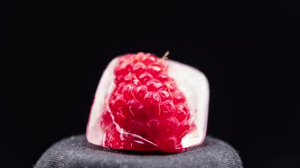 Timelapse Raspberry Melts Freezes Piece Ice Loop Fruits Melt Warm — 图库视频影像