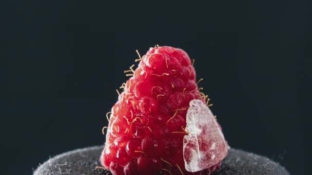 Timelapse Raspberry Freezes Piece Ice Fruits Freeze Cold Temperature Frost — ストック動画