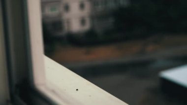 Pencere pervazına ve pencere pervazına yağmur damlaları düşer. Şehir manzarasında yağmurlu bir hava var. Bardaktan boşanırcasına yağmur yağıyor..