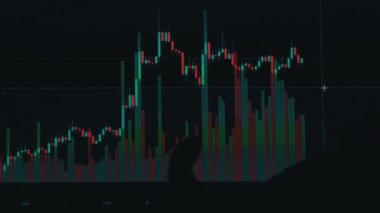 Silhouette of a cat on the background of cryptographics close-up. The value of digital money cryptocurrency is rapidly rising and falling. Stock candles moving up on a digital computer screen.