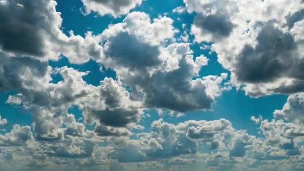 Nubes Blancas Esponjosas Flotan Lentamente Través Del Cielo Azul Diurno — Vídeos de Stock