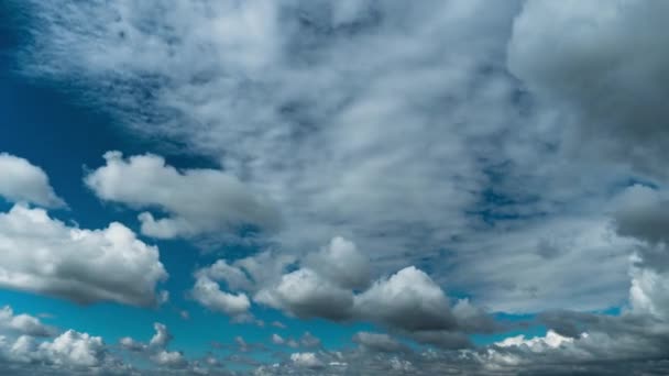 White Fluffy Clouds Slowly Float Blue Daytime Sky Timelapse Beautiful — Vídeos de Stock