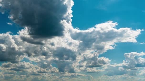 Nubes Blancas Esponjosas Flotan Lentamente Través Del Cielo Azul Diurno — Vídeos de Stock