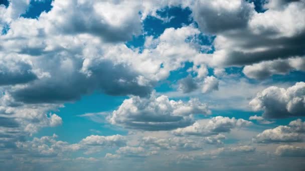 White Fluffy Clouds Slowly Float Blue Daytime Sky Timelapse Beautiful — Vídeo de stock