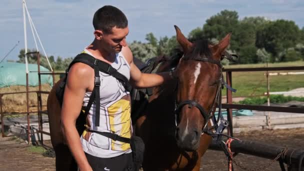 Man Strokes Muzzle Brown Horse Farm Beautiful Horse Farm Rides — 비디오