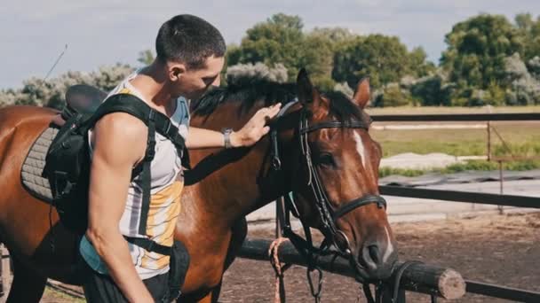 Man Strokes Muzzle Brown Horse Farm Beautiful Horse Farm Rides — Vídeo de Stock