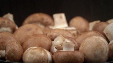 Siyah arka planda mantarların üzerine damlayan su damlaları. Kahverengi çiğ mantarların üzerine yağmur damlası düşer. Mantar toplayıcıları yağmurda mantar toplarlar. Nemli hava.