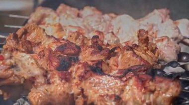 Meat barbecue is fried on skewers and in the grill in nature close-up. Cooking delicious barbecue in nature. Delicious food on metal skewer in a barbecue. Picnic time. Street eatery. Pork on the fire
