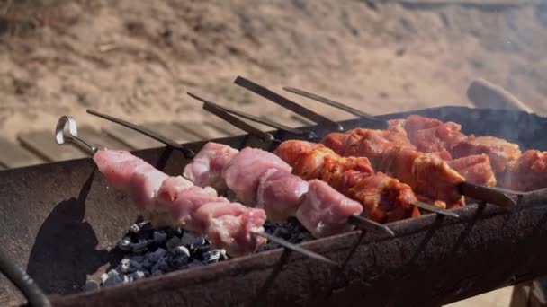 Meat Barbecue Fried Skewers Grill Nature Cooking Delicious Barbecue Nature — Stok video