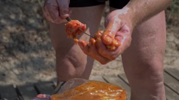 수개미들은 곡예사들에게 고기를 바른다 바베큐로 여행을 자연에서 그릴을 만들기 고기를 — 비디오