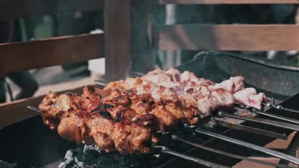 Meat Barbecue Fried Skewers Grill Nature Cooking Delicious Barbecue Nature — Stockvideo