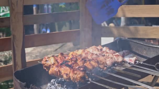 Meat Barbecue Fried Skewers Grill Nature Cooking Delicious Barbecue Nature — Vídeos de Stock