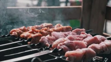 Meat barbecue is fried on skewers and in the grill in nature. Cooking delicious barbecue in nature. Delicious food on a metal skewer in a barbecue. Picnic time. Street eatery. Food Festival. Pork on
