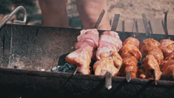 Meat Barbecue Fried Skewers Grill Nature Cooking Delicious Barbecue Nature — 비디오