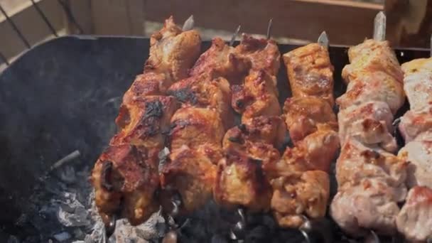Meat Barbecue Fried Skewers Grill Nature Cooking Delicious Barbecue Nature — Stock videók