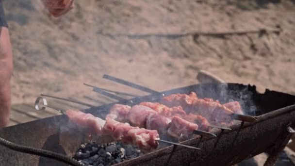 Meat Barbecue Fried Skewers Grill Nature Cooking Delicious Barbecue Nature — Stock video