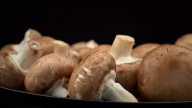 Siyah arka planda mantarların üzerine damlayan su damlaları. Kahverengi çiğ mantarların üzerine yağmur damlası düşer. Mantar toplayıcıları yağmurda mantar toplarlar. Nemli hava.