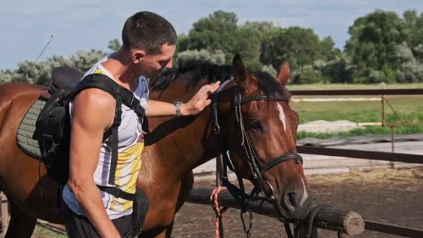 Man Strokes Muzzle Brown Horse Farm Beautiful Horse Farm Rides — Stockvideo